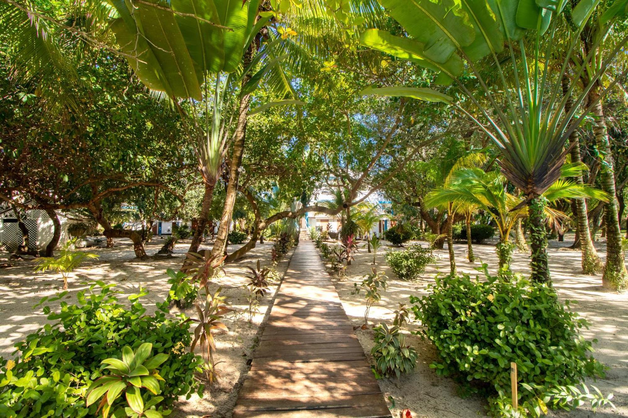 Beachside Villas Gold Standard Certified Placencia Номер фото