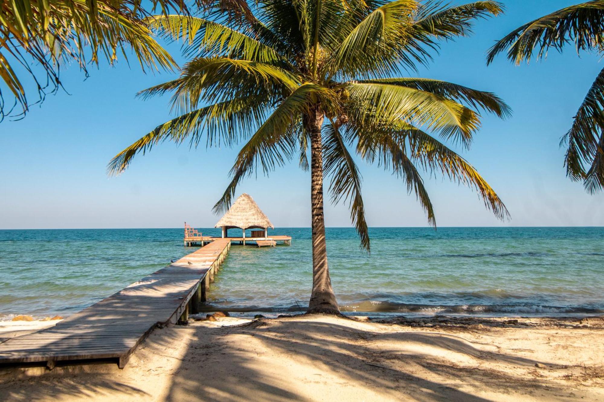 Beachside Villas Gold Standard Certified Placencia Номер фото